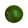 Booth 7 Avocado