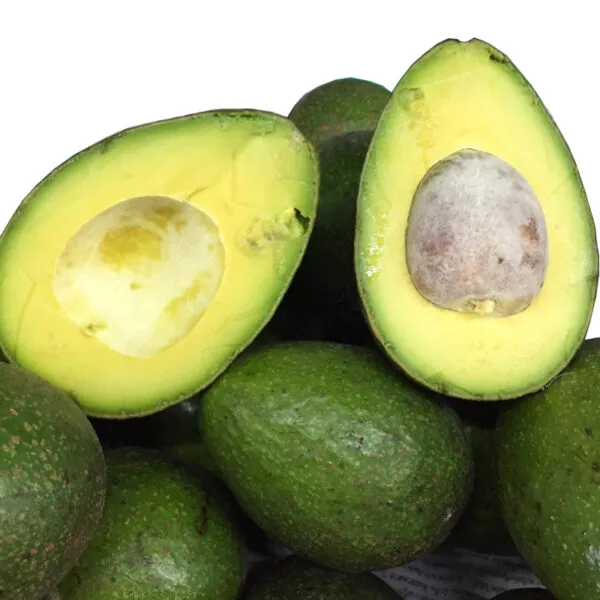 Buccaneer Avocado (Inside)